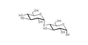 麥芽糖 Maltose 麥芽糖 Maltose