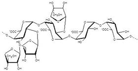 芹半乳糖醛酸多糖(鈉鹽) Apiogalacturonan polysaccharide 芹半乳糖醛酸多糖(鈉鹽) Apiogalacturonan polysaccharide
