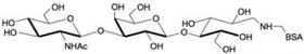 Lacto-N-Triaose / LNT2 linked to BSA Lacto-N-Triaose / LNT2 linked to BSA