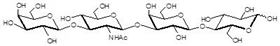Lacto-N-tetraose / LNT Lacto-N-tetraose / LNT