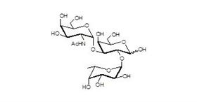 Blood group A antigen triaose Blood group A antigen triaose