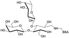 3-巖藻乳糖-BSA 3-巖藻乳糖-BSA