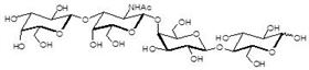 神經(jīng)節(jié)苷脂類糖 GA1 神經(jīng)節(jié)苷脂類糖 GA1