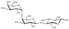 Gb3糖 Globotriaose / Gb3 / P<sup>k</sup> antigen Gb3糖 Globotriaose / Gb3 / P<sup>k</sup> antigen