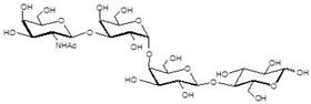 Gb4糖 Globotetraose / Gb4 / P antigen Gb4糖 Globotetraose / Gb4 / P antigen