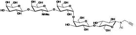 Gb5-N-Acetyl-Propargyl Globopentaose-N-Acetyl-Propargyl Gb5-N-Acetyl-Propargyl Globopentaose-N-Acetyl-Propargyl