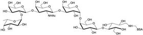 Globo-H六糖 Globo-H hexaose / Stage Specific Embryonic Antigen 3b / SSEA-3b linked to BSA Globo-H六糖 Globo-H hexaose / Stage Specific Embryonic Antigen 3b / SSEA-3b linked to BSA