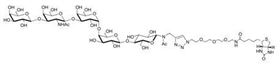 Gb5-N-Acetyl-spacer 3-Biotin Globopentaose-N-Acetyl-spacer 3-Biotin Gb5-N-Acetyl-spacer 3-Biotin Globopentaose-N-Acetyl-spacer 3-Biotin