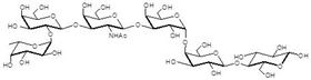 階段特異性胚胎抗原3b Globo-H hexaose / Stage Specific Embryonic Antigen 3b / SSEA-3b 階段特異性胚胎抗原3b Globo-H hexaose / Stage Specific Embryonic Antigen 3b / SSEA-3b