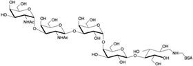 福斯曼抗原五糖-BSA Forssman antigen pentaose linked to BSA 福斯曼抗原五糖-BSA Forssman antigen pentaose linked to BSA