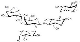 巖藻糖B抗原5型 Fucosylated B antigen type 5 巖藻糖B抗原5型 Fucosylated B antigen type 5