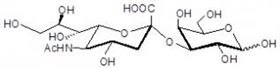 3-唾液酸半乳糖,3-Sialylgalactose 3-唾液酸半乳糖,3-Sialylgalactose