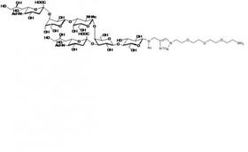 GD1a神經節苷脂類糖-β-N-乙酰-空間結構1-胺,GD1a Ganglioside sugar-β-NAc-sp1-NH2 GD1a神經節苷脂類糖-β-N-乙酰-空間結構1-胺,GD1a Ganglioside sugar-β-NAc-sp1-NH2