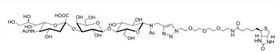 GM3神經節苷脂類糖-β-N-乙酰–空間構型1-胺,GM3-β-N-Acetyl-spacer1-NH2 GM3神經節苷脂類糖-β-N-乙酰–空間構型1-胺,GM3-β-N-Acetyl-spacer1-NH2