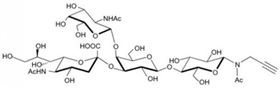 GM2神經節苷脂類糖-β-N-乙酰基-丙炔,GM2 Ganglioside sugar-β-NAc-Propargyl GM2神經節苷脂類糖-β-N-乙酰基-丙炔,GM2 Ganglioside sugar-β-NAc-Propargyl