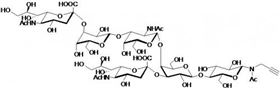 GD1a神經節(jié)苷脂類糖-β-N-乙酰基-丙炔,GD1a Ganglioside sugar-β-NAc-Propargyl GD1a神經節(jié)苷脂類糖-β-N-乙酰基-丙炔,GD1a Ganglioside sugar-β-NAc-Propargyl