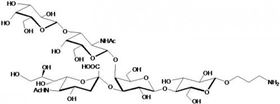 GM1a神經節苷脂類糖-β-氨丙基,GM1a Ganglioside sugar-β-Aminopropyl GM1a神經節苷脂類糖-β-氨丙基,GM1a Ganglioside sugar-β-Aminopropyl
