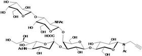 GM1a神經(jīng)節(jié)苷脂類糖-N-乙?；?β-丙炔,GM1a Ganglioside sugar-NAc-β-Propargyl