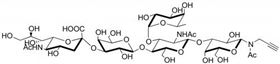 唾液酸 Lewis X抗原五糖-N-乙酰基-丙炔,Sialyl Lewis<sup>X</sup> pentaose-N-acetyl-Propargyl 唾液酸 Lewis X抗原五糖-N-乙酰基-丙炔,Sialyl Lewis<sup>X</sup> pentaose-N-acetyl-Propargyl