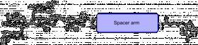 Lewis y抗原五糖-β-N-乙酰基-空間構型3-生物素,Lewis<sup>y</sup> pentaose-β-N-Acetyl-spacer3-Biotin Lewis y抗原五糖-β-N-乙酰基-空間構型3-生物素,Lewis<sup>y</sup> pentaose-β-N-Acetyl-spacer3-Biotin