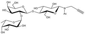 2' 巖藻糖乳糖-N-乙酰基-丙炔,2' Fucosyllactose-β-NAc-Propargyl 2' 巖藻糖乳糖-N-乙酰基-丙炔,2' Fucosyllactose-β-NAc-Propargyl