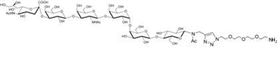 Lewis y抗原五糖-β-N-乙酰基-空間構(gòu)型3-生物素,Lewis<sup>y</sup> pentaose-β-N-Acetyl-spacer3-Biotin Lewis y抗原五糖-β-N-乙酰基-空間構(gòu)型3-生物素,Lewis<sup>y</sup> pentaose-β-N-Acetyl-spacer3-Biotin