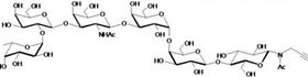 Globo-H六糖-β-N-乙酰基-丙炔,Globo-H Hexaose-β-N-Acetyl-Propargyl (SSEA-3b) Globo-H六糖-β-N-乙酰基-丙炔,Globo-H Hexaose-β-N-Acetyl-Propargyl (SSEA-3b)