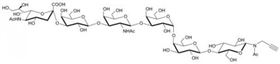 SSEA-4六糖-β-N-乙酰基-丙炔,SSEA-4 hexaose-β-NAc-Propargyl SSEA-4六糖-β-N-乙酰基-丙炔,SSEA-4 hexaose-β-NAc-Propargyl