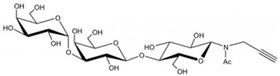 Isoglobo三糖-β-N(乙酰基)-丙炔,Isoglobotriaose-β-N(Acetyl)-Propargyl Isoglobo三糖-β-N(乙酰基)-丙炔,Isoglobotriaose-β-N(Acetyl)-Propargyl