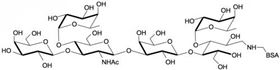 Lewis a六糖-BSA , Lewisa (Lea) hexaose linked to BSA/ Lacto-N-difucohexaose II - BSA/ LNDFH II - BSA Lewis a六糖-BSA , Lewisa (Lea) hexaose linked to BSA/ Lacto-N-difucohexaose II - BSA/ LNDFH II - BSA