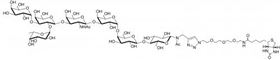 Globo-B七糖-N-乙酰基-空間構型3-生物素 , Globo-B heptaose-N acetyl-spacer 3-Biotin Globo-B七糖-N-乙酰基-空間構型3-生物素 , Globo-B heptaose-N acetyl-spacer 3-Biotin
