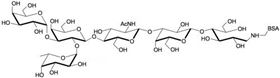 B血型抗原六糖2型-BSA , Blood group B antigen hexaose type 2 linked to BSA B血型抗原六糖2型-BSA , Blood group B antigen hexaose type 2 linked to BSA