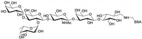 A血型抗原六糖2型-BSA , Blood group A antigen hexaose type 2 linked to BSA A血型抗原六糖2型-BSA , Blood group A antigen hexaose type 2 linked to BSA