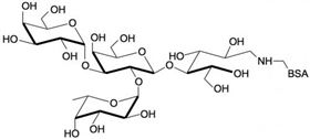 B血型抗原四糖5型-BSA , Blood group B antigen tetraose type 5 linked to BSA B血型抗原四糖5型-BSA , Blood group B antigen tetraose type 5 linked to BSA