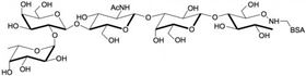 H血型抗原五糖2型-BSA , Blood group H antigen pentaose type 2 linked to BSA / Lacto-N-neofucopentaose I - BSA / LnNFP I - BSA H血型抗原五糖2型-BSA , Blood group H antigen pentaose type 2 linked to BSA / Lacto-N-neofucopentaose I - BSA / LnNFP I - BSA