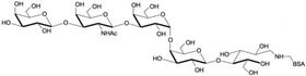 Globo五糖-BSA, Globopentaose (Gb5) linked to BSA / Stage Specific Embryonic Antigen 3a linked to BSA/ SSEA-3a - BSA Globo五糖-BSA, Globopentaose (Gb5) linked to BSA / Stage Specific Embryonic Antigen 3a linked to BSA/ SSEA-3a - BSA