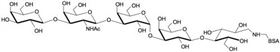 iGb五糖-BSA, Isoglobopentaose linked to BSA / iGb5- BSA iGb五糖-BSA, Isoglobopentaose linked to BSA / iGb5- BSA