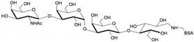 iGb四糖-BSA, Isoglobotetraose linked to BSA / iGb4- BSA / Cytolipin R - BSA iGb四糖-BSA, Isoglobotetraose linked to BSA / iGb4- BSA / Cytolipin R - BSA