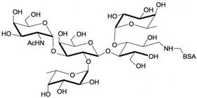3-巖藻糖-A血型抗原四糖-BSA, 3-Fucosylated Blood group A tetraose linked to BSA 3-巖藻糖-A血型抗原四糖-BSA, 3-Fucosylated Blood group A tetraose linked to BSA