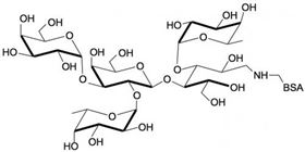 3-巖藻糖-B血型抗原四糖-BSA, 3-Fucosylated Blood group B tetraose linked to BSA 3-巖藻糖-B血型抗原四糖-BSA, 3-Fucosylated Blood group B tetraose linked to BSA