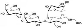 α-3半乳糖-3巖藻糖乳糖-BSA, α-3Galactosyl-3Fucosyllactose linked to BSA α-3半乳糖-3巖藻糖乳糖-BSA, α-3Galactosyl-3Fucosyllactose linked to BSA