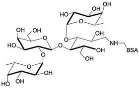乳糖二巖藻糖四糖-BSA, Lactodifucotetraose linked to BSA / DF-L-BSA / Difucosyllactose-BSA 乳糖二巖藻糖四糖-BSA, Lactodifucotetraose linked to BSA / DF-L-BSA / Difucosyllactose-BSA