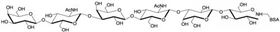 對-乳糖-N-新六糖-BSA, Para-Lacto-N-neohexaose linked to BSA / Para-LNnH-BSA 對-乳糖-N-新六糖-BSA, Para-Lacto-N-neohexaose linked to BSA / Para-LNnH-BSA