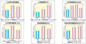 Wako 蠶繭源蛋白-Pure Sericin 純絲膠 Wako 蠶繭源蛋白-Pure Sericin 純絲膠
