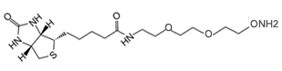 D-Biotin-ONH2