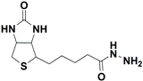 66640-86-6 D-Biotin hydrazide 