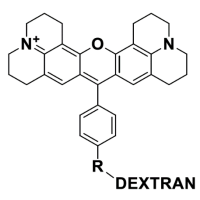 Antonia Red-dextran的結構式 Antonia Red-dextran的結構式