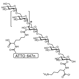 ATTO647n標記賴氨酸葡聚糖結構 ATTO647n標記賴氨酸葡聚糖結構