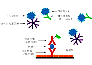 主動阻斷的原理