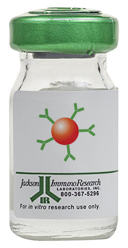 Jackson ImmunoResearch抗地高辛小鼠單克隆抗體 Jackson ImmunoResearch抗地高辛小鼠單克隆抗體